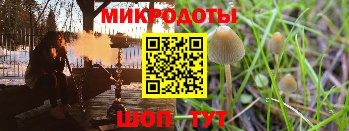 Псилоцибиновые грибы GOLDEN TEACHER Избербаш